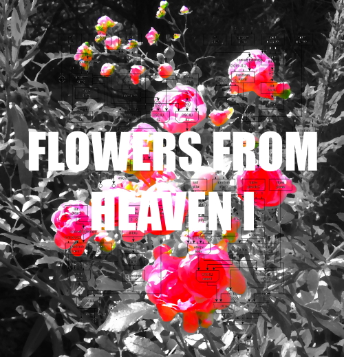 Flowers from Heaven I